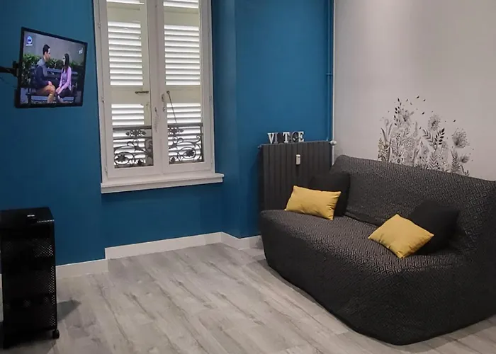 Grand Studio Refait A Neuf Centre-Ville
